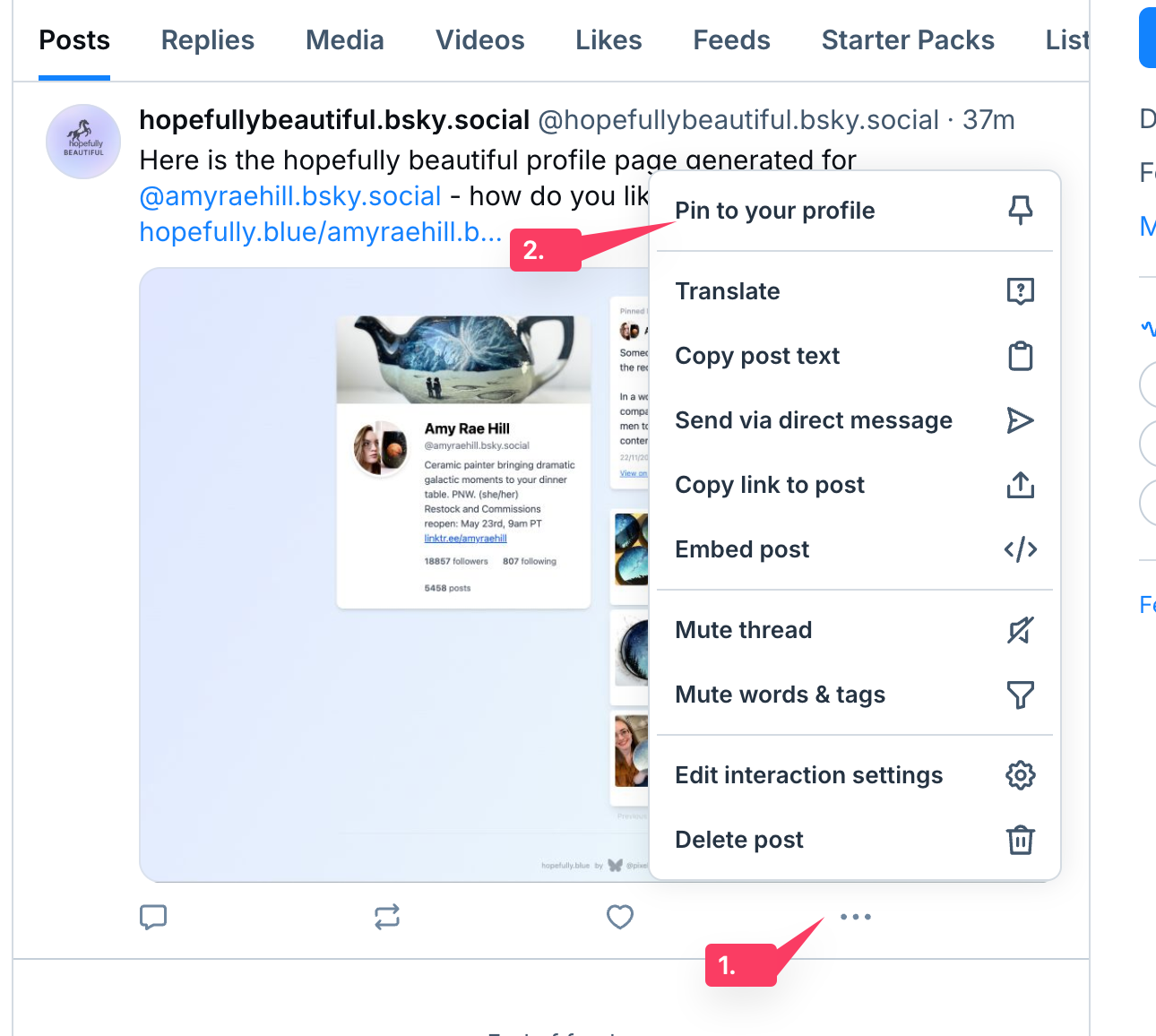 Bluesky pinned post example