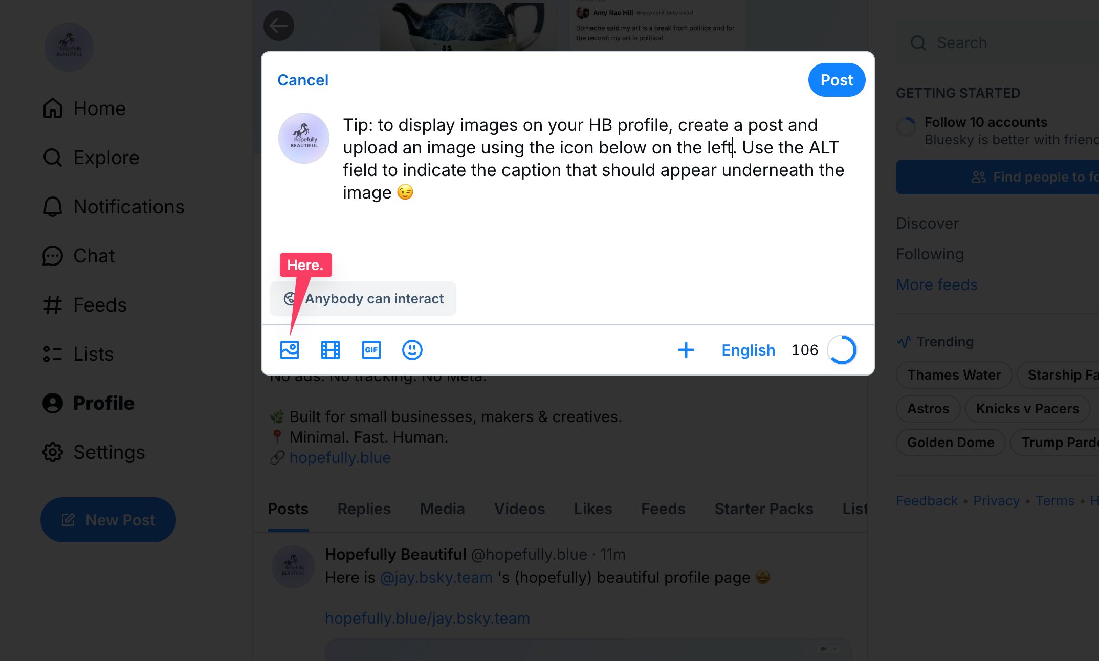 Bluesky image upload screen